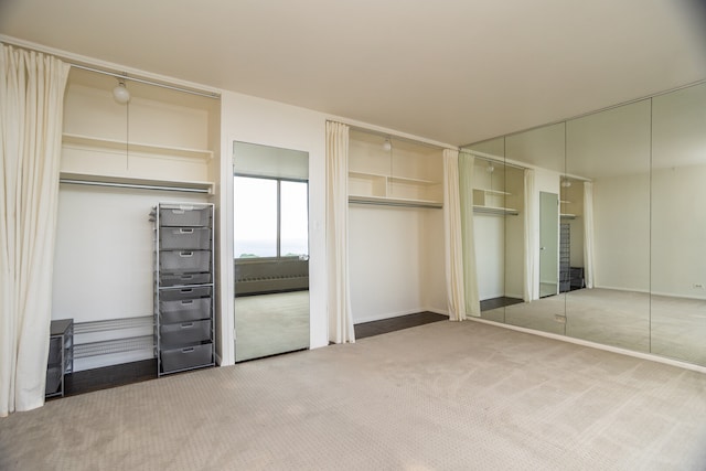 360 W Wellington Ave Unit 13E, Chicago, IL 60657 - view of closet