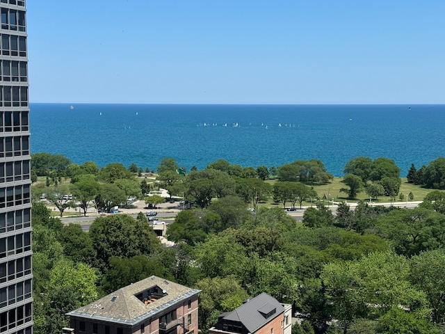 360 W Wellington Ave Unit 13E, Chicago, IL 60657 - water view