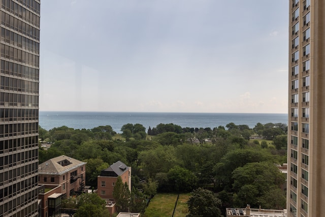 360 W Wellington Ave Unit 13E, Chicago, IL 60657 - water view