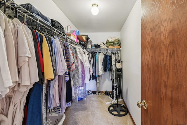 5509 Hickory Grove Ct, Plainfield, IL 60586 - spacious closet featuring carpet