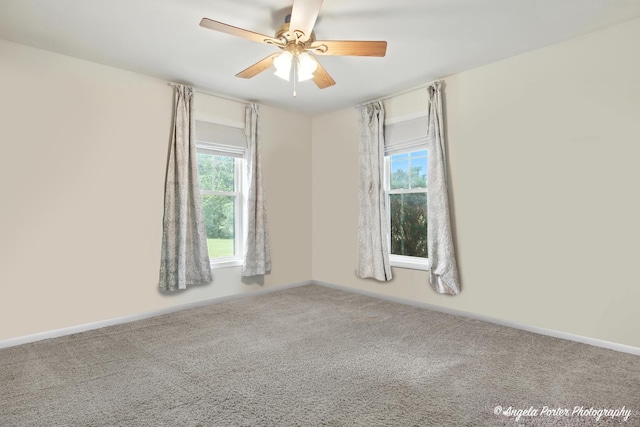 22039 W N Ave, Antioch, IL 60002 - carpeted empty room with healthy amount of natural light and a ceiling fan