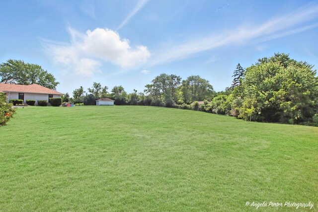 22039 W N Ave, Antioch, IL 60002 - view of grassy yard