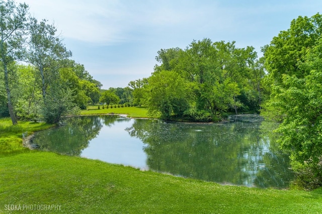 153 Algonquin Rd, Barrington Hills, IL 60010 - photo 53