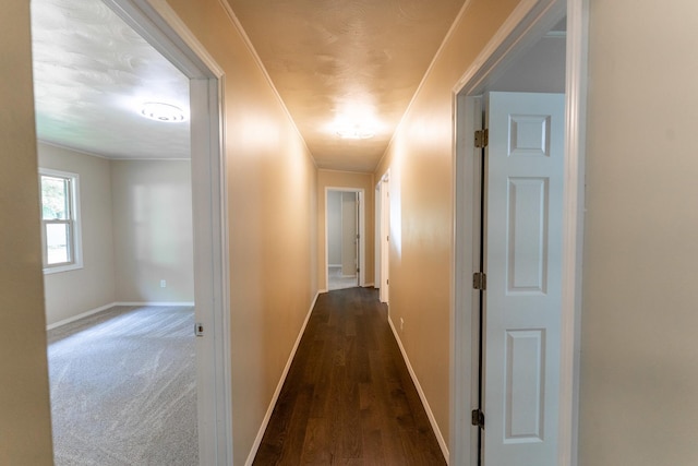 1162 S Bradley Ln, Oregon, IL 61061 - photo 26