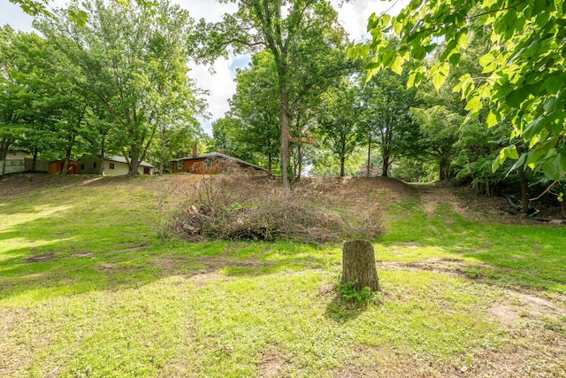1162 S Bradley Ln, Oregon, IL 61061 - photo 56