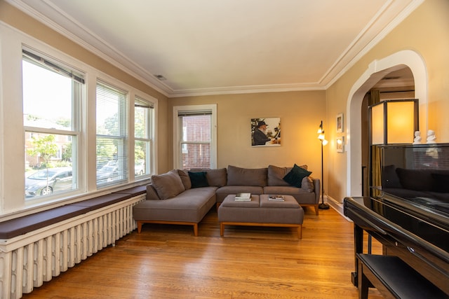 2815 W Fitch Ave, Chicago, IL 60645 - living room featuring radiator, light wood-type flooring, crown molding, and arched walkways