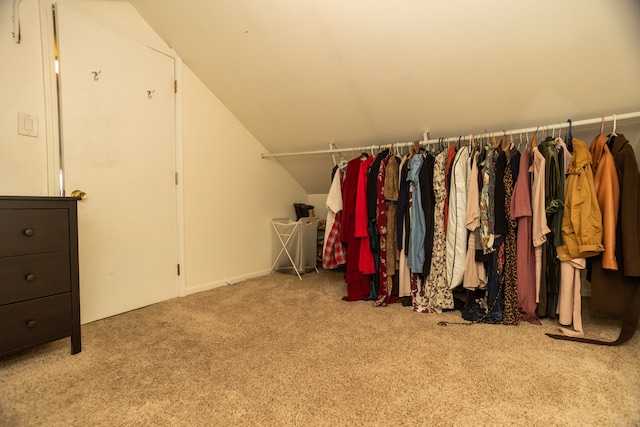 2815 W Fitch Ave, Chicago, IL 60645 - spacious closet featuring carpet flooring and vaulted ceiling