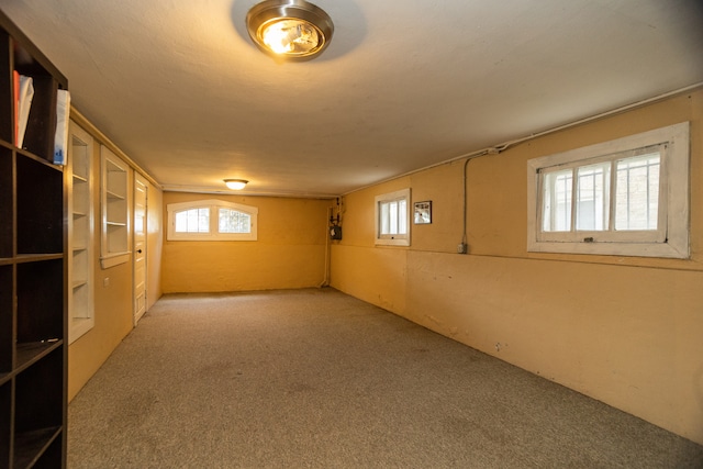 2815 W Fitch Ave, Chicago, IL 60645 - below grade area with carpet and plenty of natural light