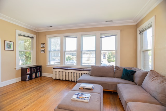 2815 W Fitch Ave, Chicago, IL 60645 - living area with radiator, crown molding, and wood finished floors