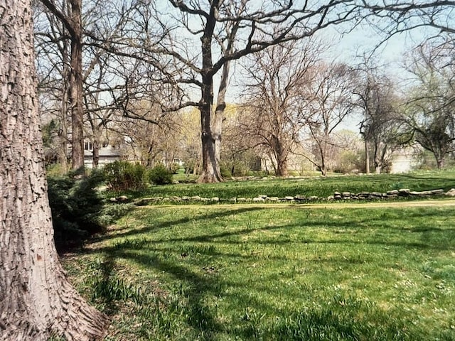 2007 Ohio St, Lisle, IL 60532 - photo 2