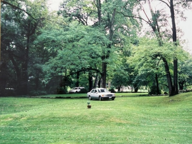 2007 Ohio St, Lisle, IL 60532 - photo 4
