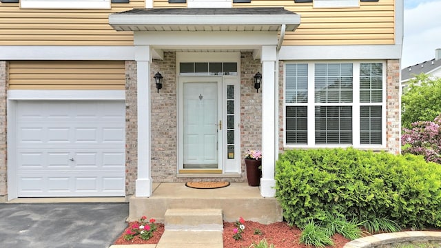 1793 Lanyon Dr, Bartlett, IL 60103 - view of exterior entry with a garage