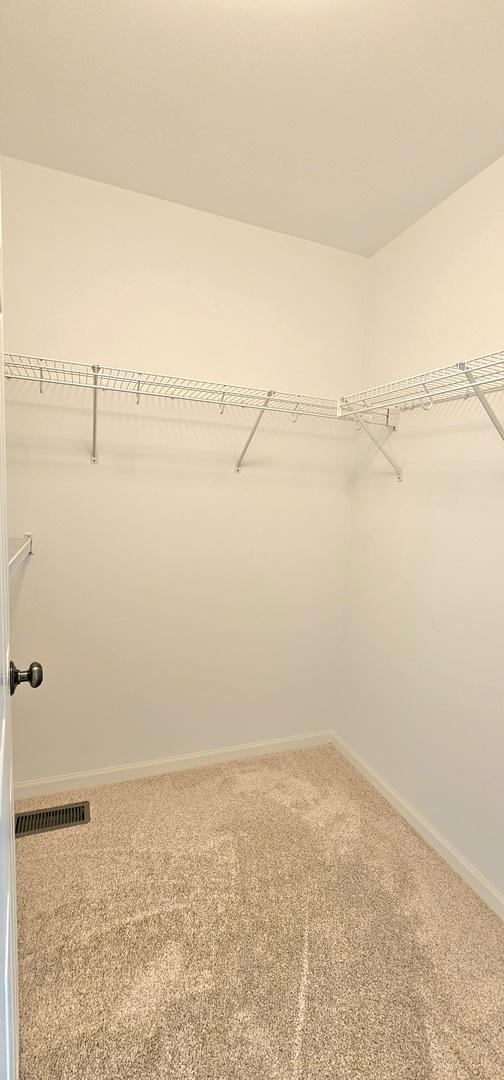 1793 Lanyon Dr, Bartlett, IL 60103 - spacious closet featuring carpet floors