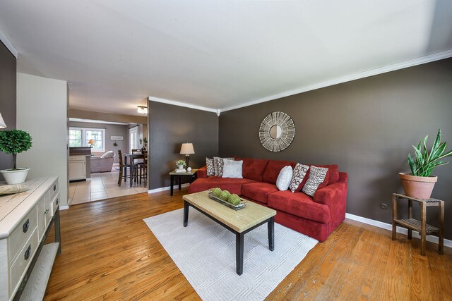 1747 Pleasant Ave, Saint Charles, IL 60174 - living area with light wood-style floors and crown molding