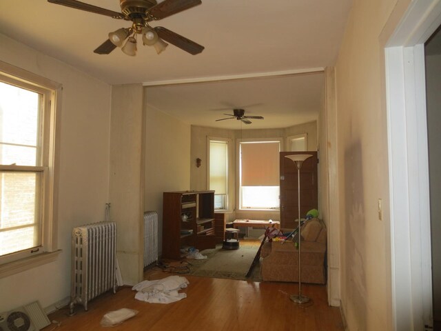 1642 W Olive Ave, Chicago, IL 60660 - living area with radiator, a ceiling fan, and plenty of natural light
