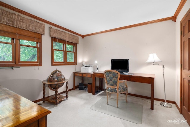 567 Roxbury Dr, Naperville, IL 60565 - photo 20