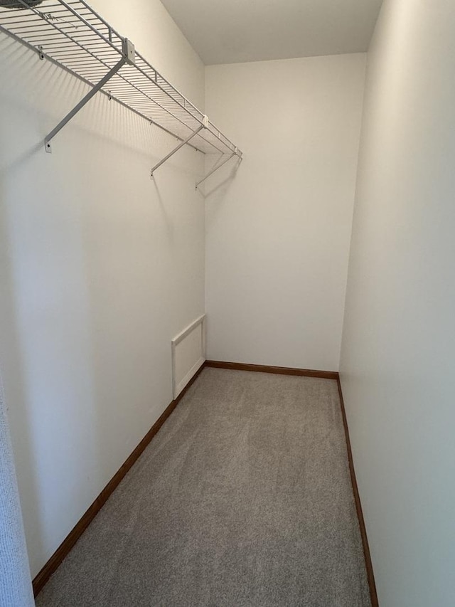 532 E 2nd St, Herscher, IL 60941 - walk in closet featuring carpet
