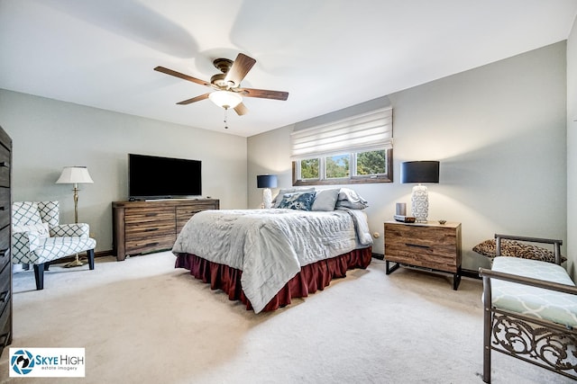 14463 S Canvasback Ct, Homer Glen, IL 60491 - bedroom featuring light carpet and ceiling fan