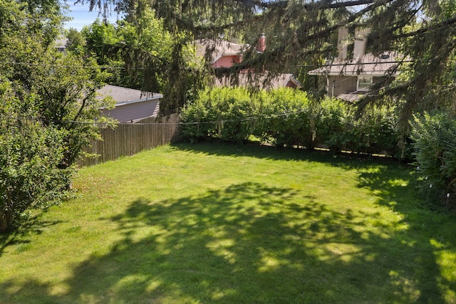 5245 Fairmount Ave, Downers Grove, IL 60515 - view of yard