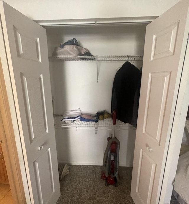 45 Nassau Colony Unit 4, Fox Lake, IL 60020 - view of closet