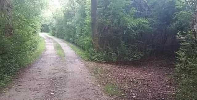 45 Nassau Colony Unit 4, Fox Lake, IL 60020 - view of dirt / gravel road with a forest view