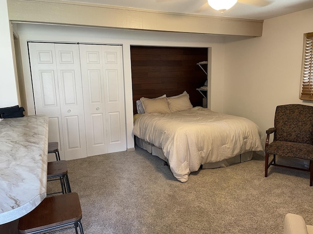 45 Nassau Colony Unit 4, Fox Lake, IL 60020 - bedroom with carpet, a closet, and ceiling fan