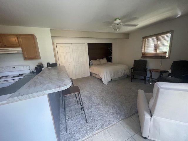 45 Nassau Colony Unit 4, Fox Lake, IL 60020 - bedroom with a closet, light colored carpet, a ceiling fan, and light tile patterned flooring