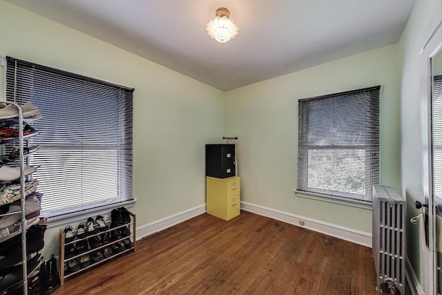 1003 Mapleton Ave, Oak Park, IL 60302 - bedroom featuring baseboards and dark wood-style floors