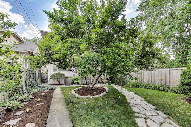 1003 Mapleton Ave, Oak Park, IL 60302 - view of fenced backyard