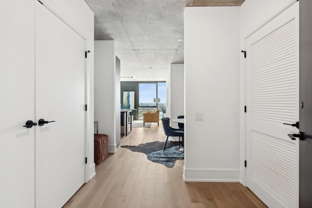 234 W Polk St Unit 3403, Chicago, IL 60607 - corridor with light wood finished floors and floor to ceiling windows