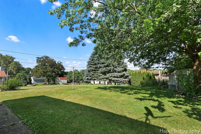 34719 N Nokomis Trl, Mchenry, IL 60051 - view of grassy yard