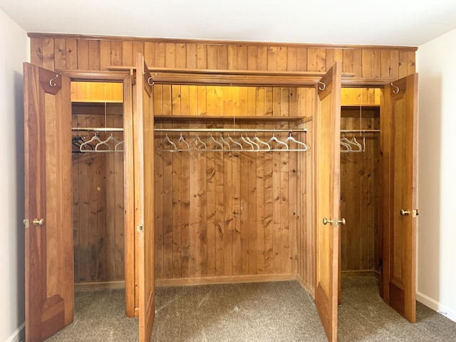 652 Beckman Dr, Kankakee, IL 60901 - view of closet