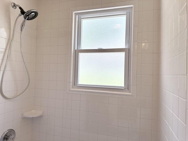 652 Beckman Dr, Kankakee, IL 60901 - view of bathroom