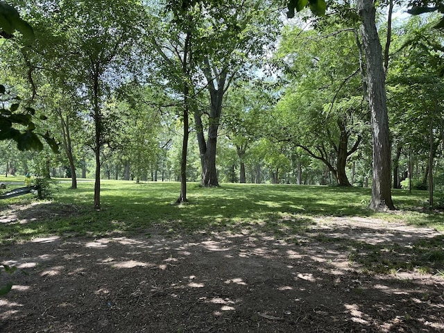 652 Beckman Dr, Kankakee, IL 60901 - view of green lawn