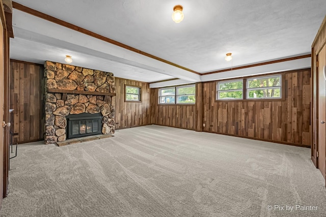 4421 Elmleaf Dr, Mchenry, IL 60051 - unfurnished living room featuring wood walls, carpet, and a fireplace