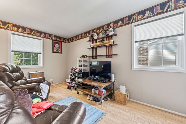 1507 Eton Ln, Naperville, IL 60565 - living room featuring wood finished floors and baseboards