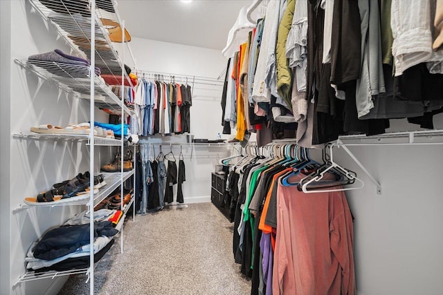 507 Raef Rd, Downs, IL 61736 - view of walk in closet
