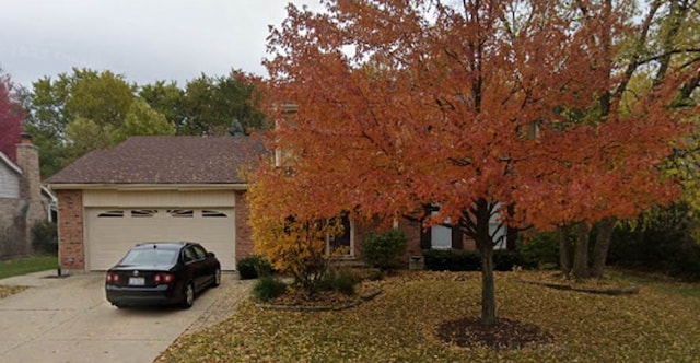 8221 Meadowwood Ave, Woodridge, IL 60517 - view of property hidden behind natural elements featuring driveway, a garage, and brick siding