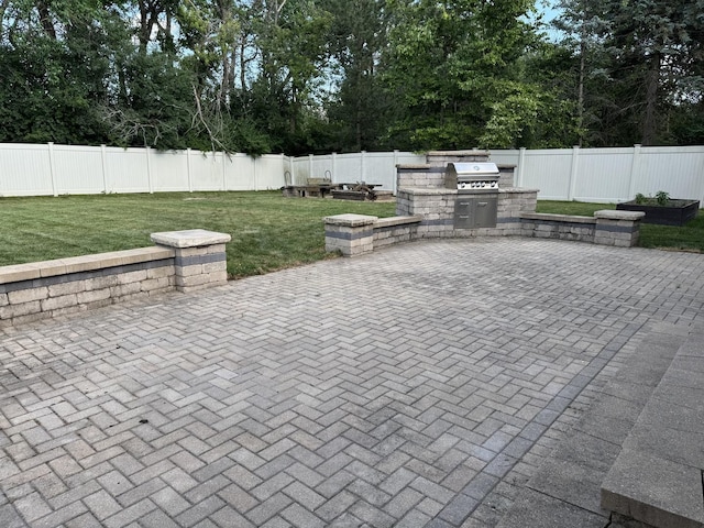 8221 Meadowwood Ave, Woodridge, IL 60517 - fenced backyard with exterior kitchen, a patio area, and view of wooded area