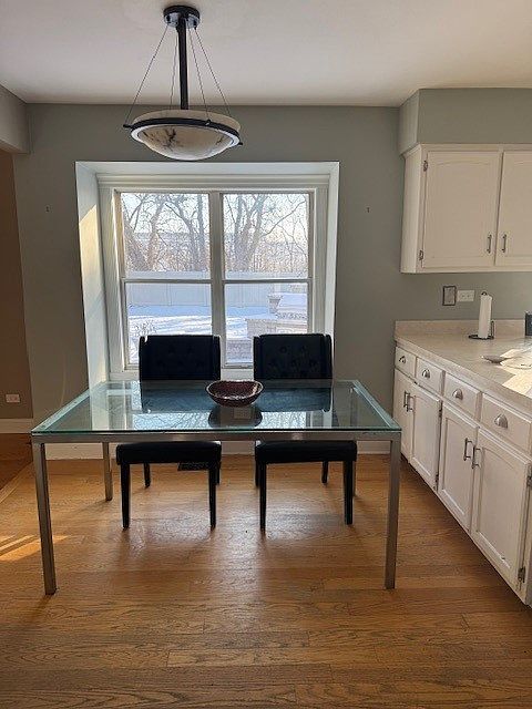 8221 Meadowwood Ave, Woodridge, IL 60517 - dining space featuring dark wood-type flooring