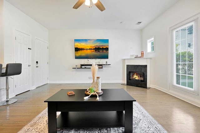 2355 W Congress Pkwy Unit 1, Chicago, IL 60612 - living area featuring wood finished floors, a high end fireplace, and a ceiling fan