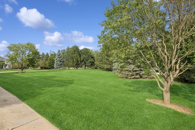 2501 Oak Dr, West Dundee, IL 60118 - photo 29