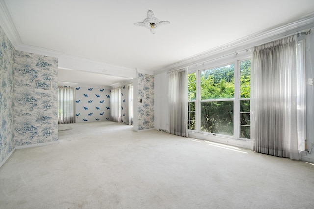 20020 Western Ave, Olympia Fields, IL 60461 - spare room with ornamental molding, wallpapered walls, healthy amount of natural light, and carpet