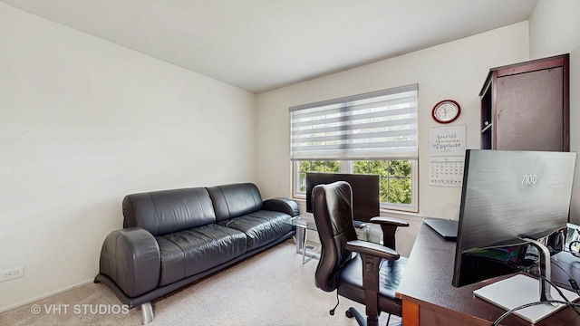 2328 Sedgfield Ct, Schaumburg, IL 60194 - office featuring carpet floors