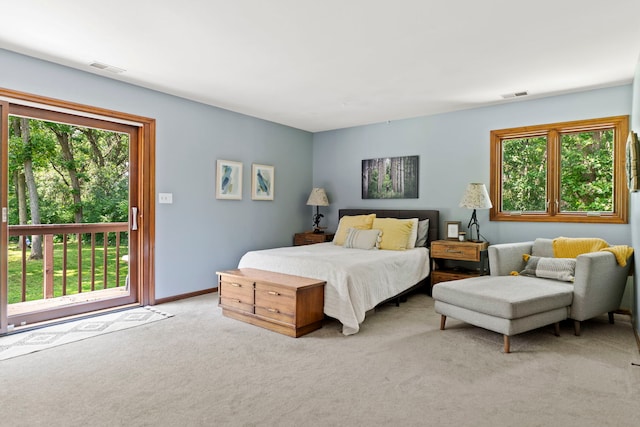 1313 Chatham Ln, Woodstock, IL 60098 - photo 22