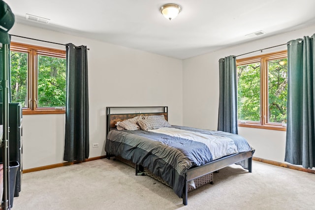 1313 Chatham Ln, Woodstock, IL 60098 - photo 28