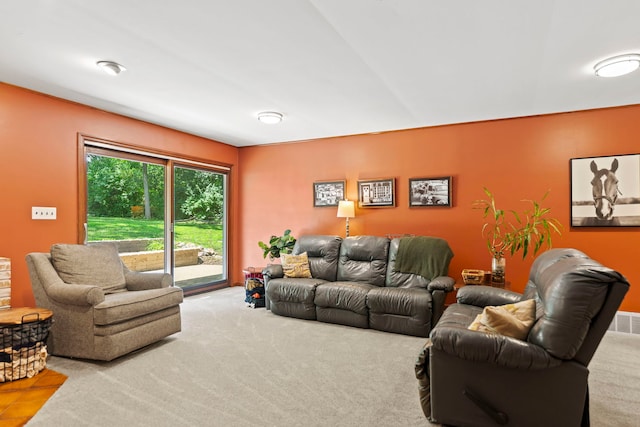 1313 Chatham Ln, Woodstock, IL 60098 - photo 33
