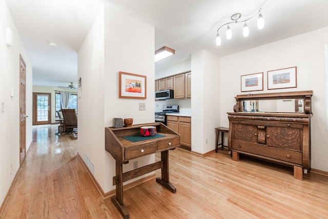 4 Meadow Trl W, Dekalb, IL 60115 - recreation room with light wood-style flooring and a ceiling fan