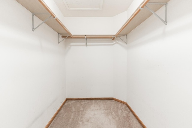 4 Meadow Trl W, Dekalb, IL 60115 - walk in closet with carpet floors