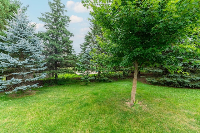 4 Meadow Trl W, Dekalb, IL 60115 - view of grassy yard